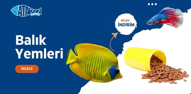 Banner Başlığı