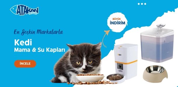 Banner Başlığı