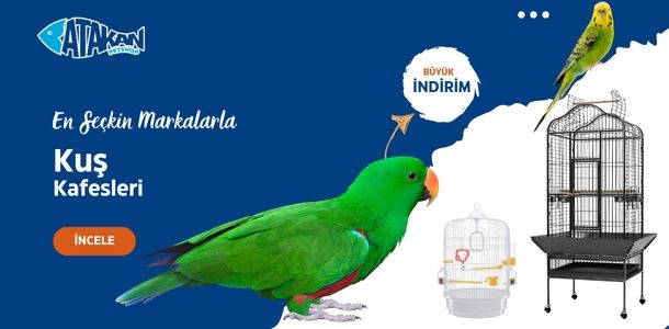 Banner Başlığı