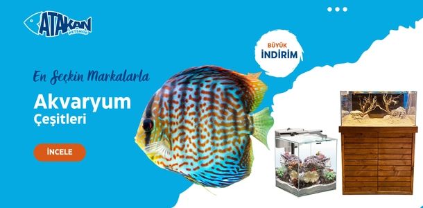 Banner Başlığı