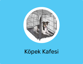 Köpek Kafesi