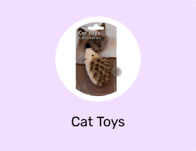 Cat Toys