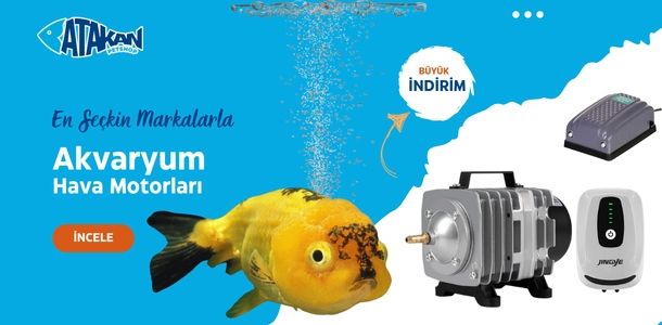 Banner Başlığı