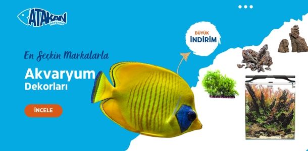 Banner Başlığı