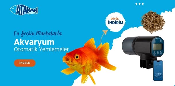Banner Başlığı