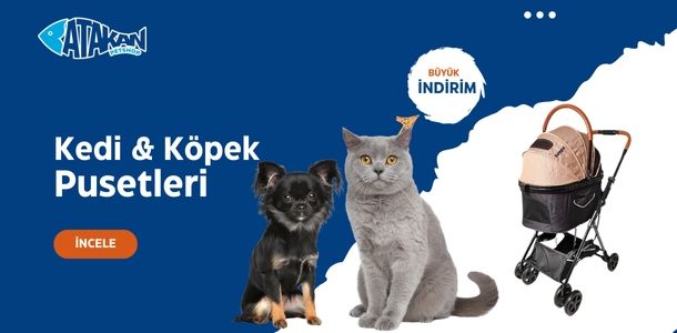 Banner Başlığı