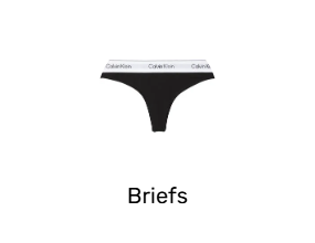 Briefs