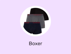 Boxer