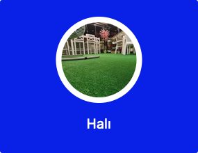 Halı