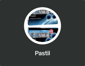 Pastil