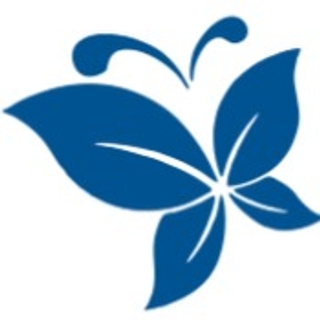 Mavi Temizlik