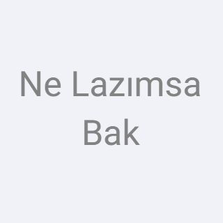 Ne Lazımsa Bak logo