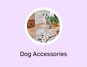 Dog Accessories