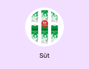 Süt
