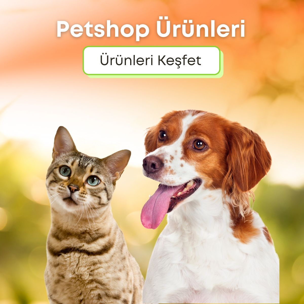 Banner Başlığı