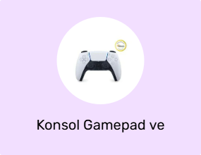 Konsol Gamepad ve Joystick