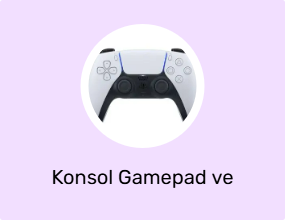 Konsol Gamepad ve Joystick