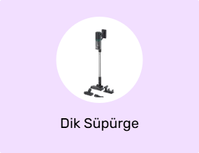 Dik Süpürge