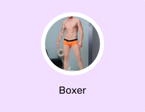 Boxer