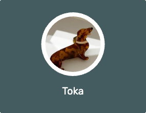 Toka