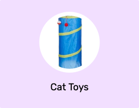 Cat Toys