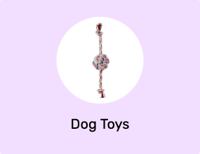 Dog Toys