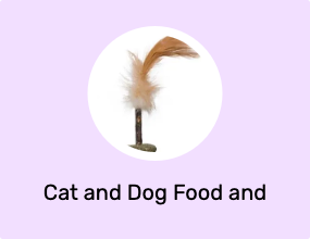 Cat and Dog Food and Water Containers