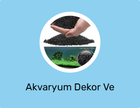 Akvaryum Dekor Ve Aksesuarı
