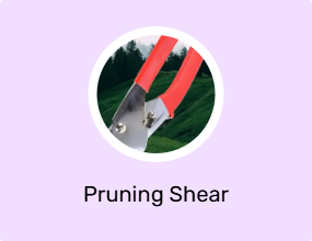 Pruning Shear