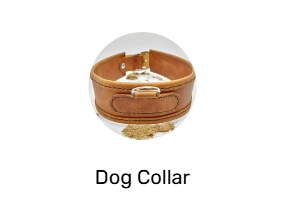 Dog Collar