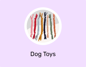 Dog Toys