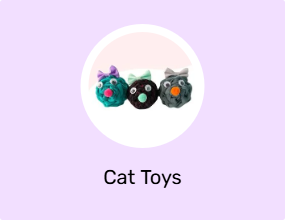 Cat Toys