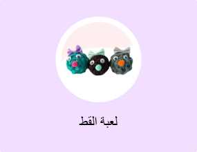 لعبة القط
