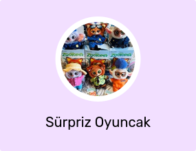 Sürpriz Oyuncak Figürü