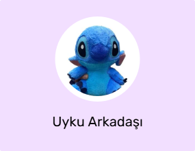 Uyku Arkadaşı