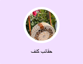 حقائب كتف