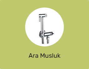 Ara Musluk