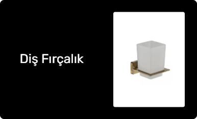 Diş Fırçalık