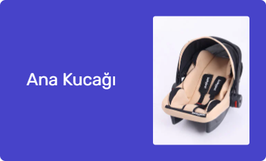 Ana Kucağı