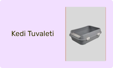 Kedi Tuvaleti