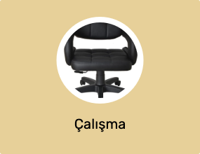 Çalışma Sandalyesi&Koltuk