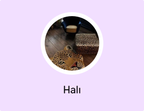 Halı