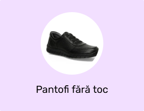 Pantofi fără toc