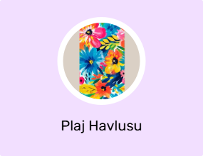Plaj Havlusu