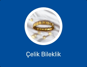 Çelik Bileklik