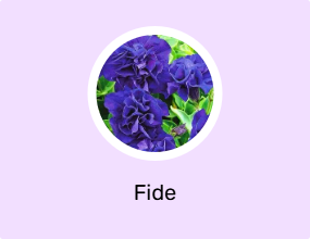 Fide