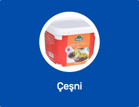 Çeşni