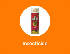 Insecticide