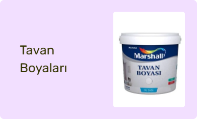Tavan Boyaları