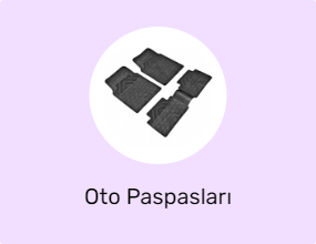Oto Paspasları